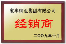 郸城宝丰经销商